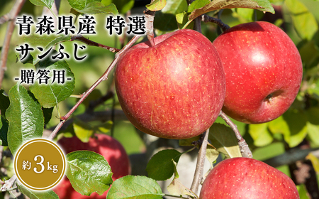 3月発送 特選 甚八りんごサンふじ3kg [青森県 平川市 マルジンサンアップル]3月発送 青森 青森県産 平川 りんご リンゴ 林檎 くだもの 果物 フルーツ