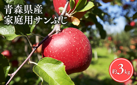 [レビューキャンペーン][11月発送]家庭用サンふじ3kg[丸勝木村商店・青森りんご][hi-0055-001-11]
