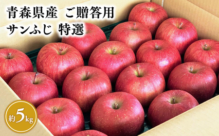 yr[Ly[z4 yIzTӂ5sy񂲁EXEEIE{쏤XE4z[hi-0054-003-4]