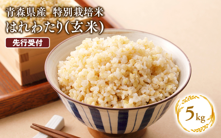 ≪令和8年産 先行予約≫11月中旬よりお届け! 特別栽培米 はれわたり玄米5kg[青森県 平川市]先行予約 米 お米 玄米 青森県産 産地直送 おにぎり 朝ご飯 冷めてもおいしい ご飯 コメ こめ 白米 ごはん ブランド 特A 特A お取り寄せ グルメ