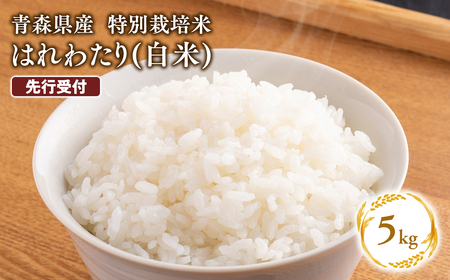 【寄附金額を見直しました】≪令和8年産 先行予約≫11月中旬よりお届け! 　特別栽培米 はれわたり白米5kg［hi-0061-005-11］