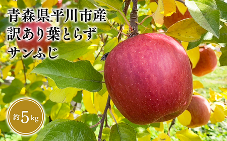 ≪2026年12月中旬頃より発送≫ 訳あり 葉取らずサンふじ 約5kg 青森県平川市産[hi-0036-013]
