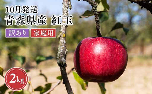 2026年10月発送 [訳あり]家庭用紅玉 約2kg[原田農園] 家庭用 青森 青森県産 平川 りんご リンゴ 林檎 くだもの 果物 フルーツ [hi-0068-002]