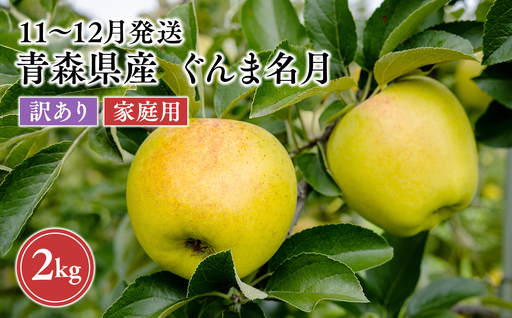 2026年11月〜12月発送 [訳あり]家庭用ぐんま名月 約2kg[原田農園] 家庭用 青森 青森県産 平川 りんご リンゴ 林檎 くだもの 果物 フルーツ [hi-0068-020]