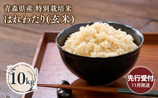≪令和8年産 先行予約≫11月中旬よりお届け! 　特別栽培米 はれわたり玄米10kg【青森県 平川市】先行予約 米 お米 玄米 青森県産 産地直送 おにぎり 朝ご飯 冷めてもおいしい ご飯 コメ こめ 白米 ごはん ブランド米 特A 特A米 お取り寄せ グルメ［hi-0062-023-11］