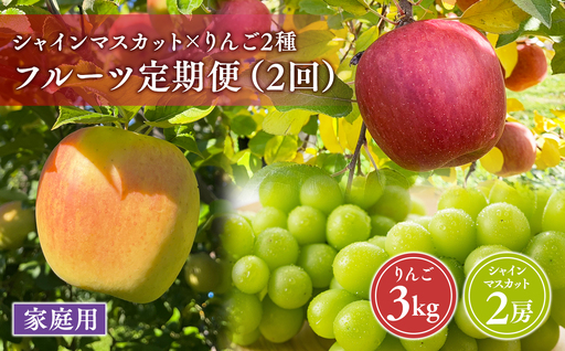青森フルーツ満喫便 家庭用 りんご&シャインマスカット 2回定期コース[hi-0999-010]