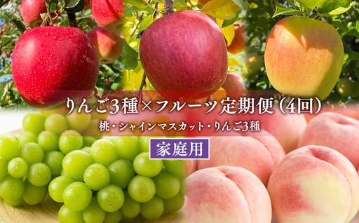 家庭用フルーツ定期便 4回(桃・シャインマスカット・りんご3種)[hi-0999-013]