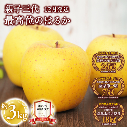 りんご 親子三代最高位のはるか 約3kg [hi-0003-033]