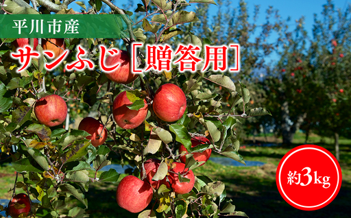 [11月下旬〜順次発送]贈答用サンふじ3kg[今井農園]≪hi-0064-008≫