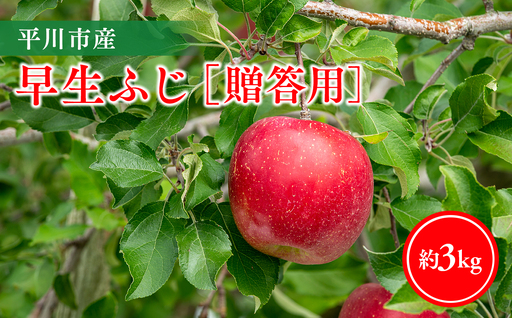 [10月発送]贈答用早生ふじ3kg[今井農園]≪hi-0064-010≫