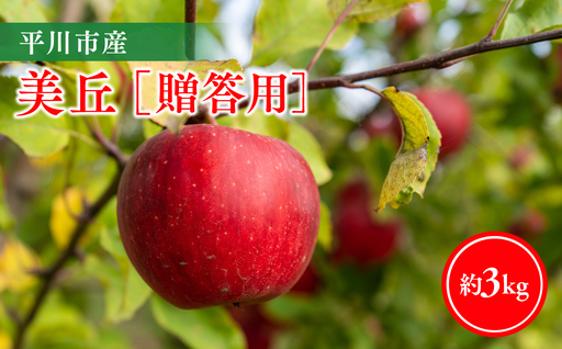 [11月下旬〜順次発送]贈答用美丘3kg[今井農園]≪hi-0064-012≫