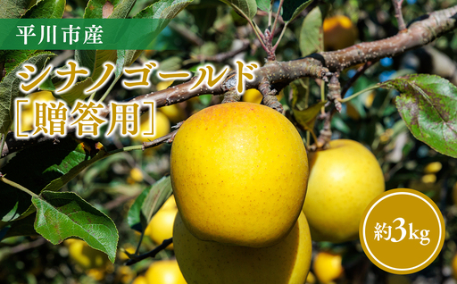 [11月〜順次発送]贈答用シナノゴールド3kg[今井農園]≪hi-0064-014≫