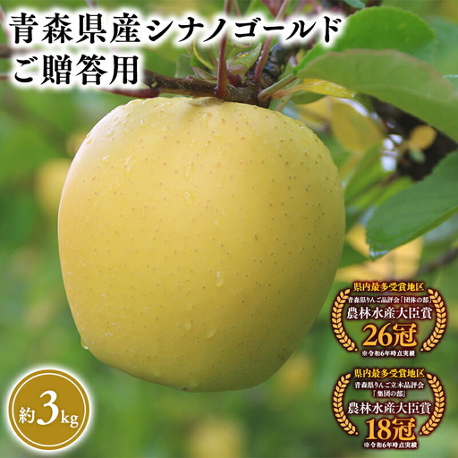 【2026年5～6月発送】家庭用シナノゴールド3kg【そと川りんご園】[hi-0053-086]