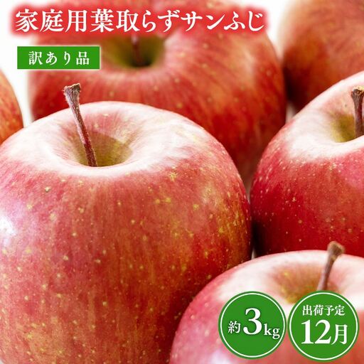 りんご サンふじ 訳あり 約3kg [hi-0009-018-12]
