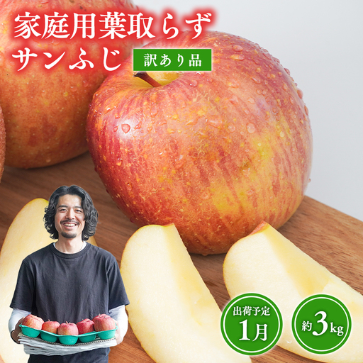 りんご サンふじ 訳あり 約3kg [hi-0009-018-1]