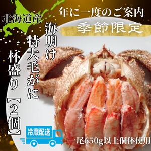 [北海道産]特大海明け毛がに一杯盛り約650g以上の毛がに2尾使用[期間限定5月18日まで受付予定](冷蔵便)|無添加 かに 毛がに かにみそ 高品質