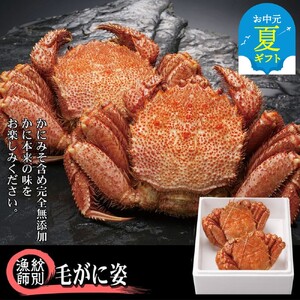 [お中元][北海道産]毛がに姿 2尾計約1.0kg [無添加] |かに 毛がに 高品質
