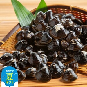 [お中元]冷凍砂出ししじみ 3袋セット