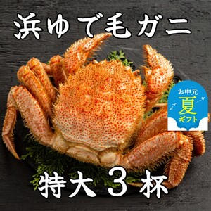 [お中元]流氷明け浜ゆで毛ガニ 特大3杯
