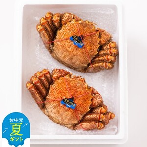[お中元]毛ガニ約570g×2尾