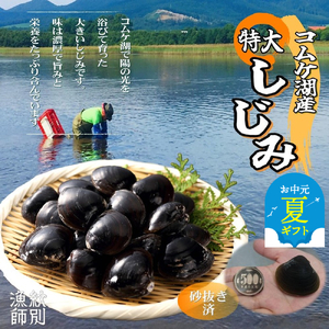 [お中元][紋別市コムケ湖産] 手獲り特大しじみ 600g