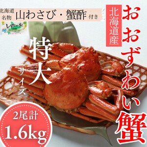 35-49 ykCYzIIYCKjp@TCY2v1.6kg b I|ER킳ѕt@Ɂ@킢