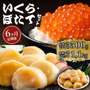 420-1 yւUzݖЂ500gق1.1kgZbg×U