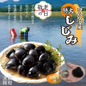 [敬老ギフト][紋別市コムケ湖産] 手獲り特大しじみ 600g