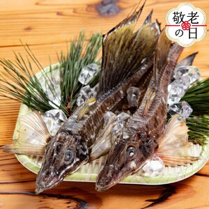 [敬老ギフト]オホーツク八角丸干し1kg