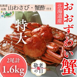 [敬老ギフト][北海道産]オオズワイガニ姿 特大サイズ2尾計1.6kg | 蟹酢・山わさび付 かに おおずわいがに