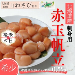 [敬老ギフト][希少]お刺身用 赤帆立800g |北海道産 グルメ 海鮮丼