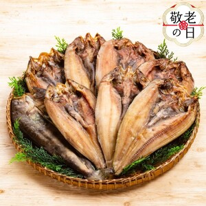 [敬老ギフト]どどーんと8枚!しまほっけ一夜干しセット