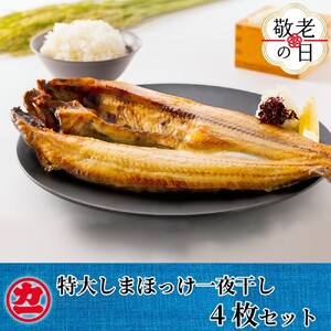 [敬老ギフト]脂の乗った特大しまほっけの一夜干し4枚セット