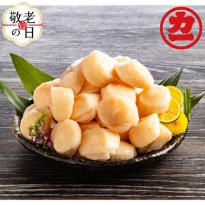 [敬老ギフト]オホーツク産ほたて貝柱特大サイズ1kg