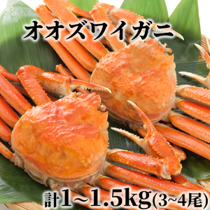 17-203 kCY@{CIIYCKjp@v1`1.5O(3`4)