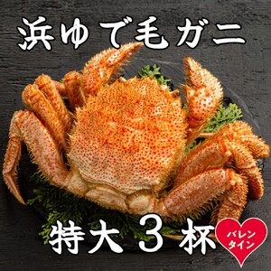 [バレンタインデー]流氷明け浜ゆで毛ガニ 特大3杯