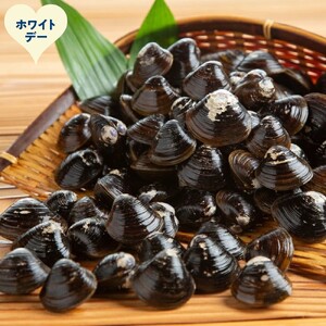 [ホワイトデー]冷凍砂出ししじみ 3袋セット