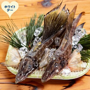 [ホワイトデー]オホーツク八角丸干し1kg