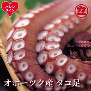 [バレンタインデー]オホーツク産タコ足