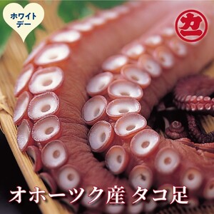 [ホワイトデー]オホーツク産タコ足