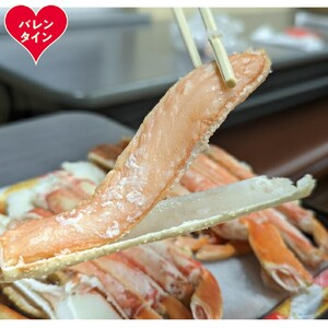 [バレンタインデー]ボイル本ずわいがにハーフポーション(総重量 約900g前後)