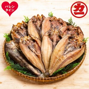 [バレンタインデー]どどーんと8枚!しまほっけ一夜干しセット