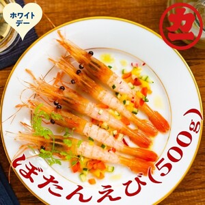 [ホワイトデー]ぼたんえび500g