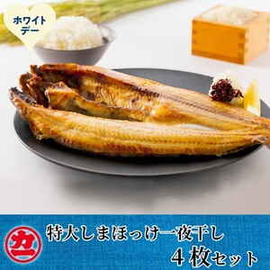 [ホワイトデー]脂の乗った特大しまほっけの一夜干し4枚セット