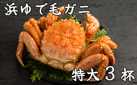 流氷明け浜ゆで毛ガニ 特大3杯