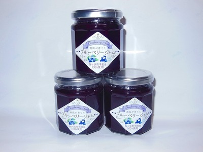 ジャム ブルーベリージャム セット 600g ( 200g × 3個 ) 潮風が育てた[フルーツ 果物 くだもの 食品 人気 おすすめ 送料無料]