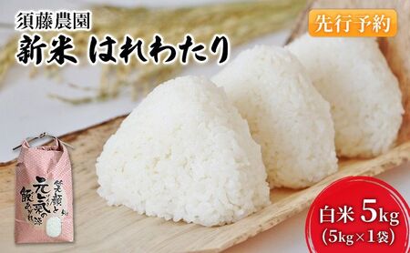 先行予約 新米 令和7年産 白米 はれわたり 5kg 1袋 米 精米 こめ お米 おこめ コメ ご飯 ごはん 令和7年 須藤農園 青森 青森県