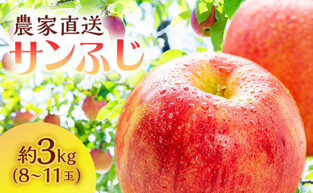 サイキチ農園 サンふじ 約 3kg (8〜11玉) 青森県鰺ヶ沢町産 りんご リンゴ フルーツ 果物 果物類 林檎