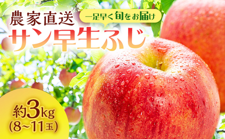 サイキチ農園 サン早生ふじ ( 弘前ふじ ) 約 3kg (8〜11玉) 青森県鰺ヶ沢町産 りんご リンゴ フルーツ 果物 果物類 林檎