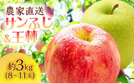 サイキチ農園 サンふじ 王林 約 3kg (8〜11玉) 青森県鰺ヶ沢町産 りんご リンゴ フルーツ 果物 果物類 林檎